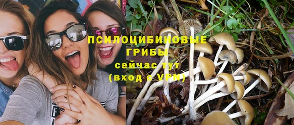 соль курить ск Вязьма