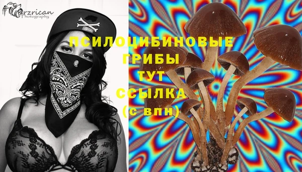 гашиш Вязники