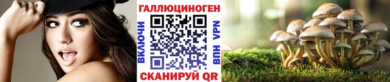 omg   Иноземцево  Галлюциногенные грибы GOLDEN TEACHER 